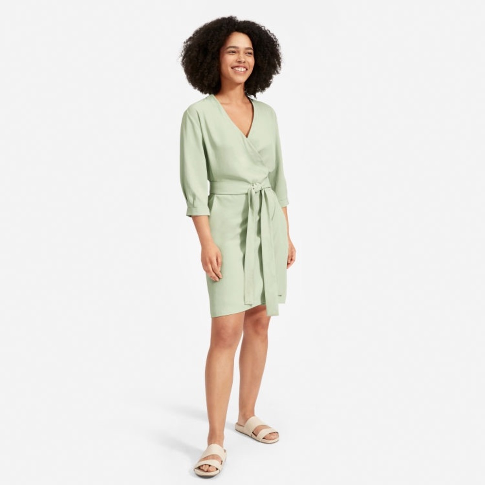 Everlane Japanese GoWeaveLong-Sleeve MiniWrapDress